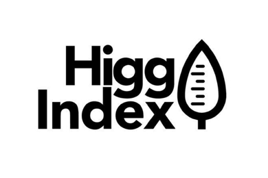 Higg FEM
