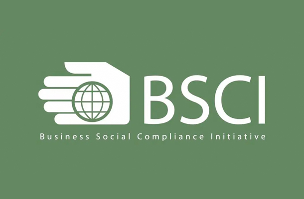 BSCI验厂审核应对技巧及BSCI注意事项